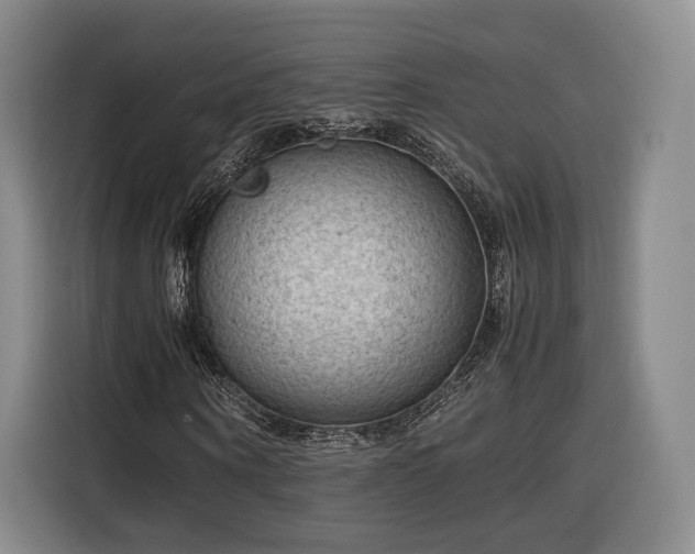 X0000116310866200912071306