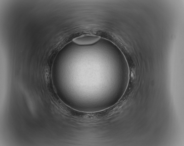 X0000116310867200912071306