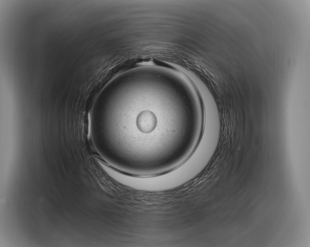 X0000116310868200912071306