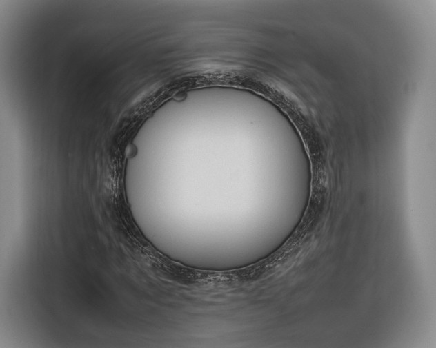 X0000116310869200912071306