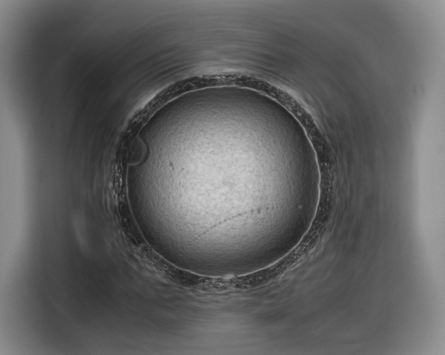 X0000116310871200912071306