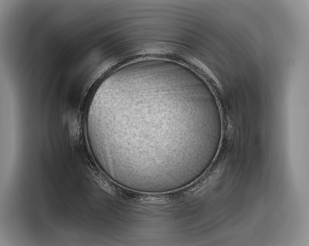 X0000116310874200912071306