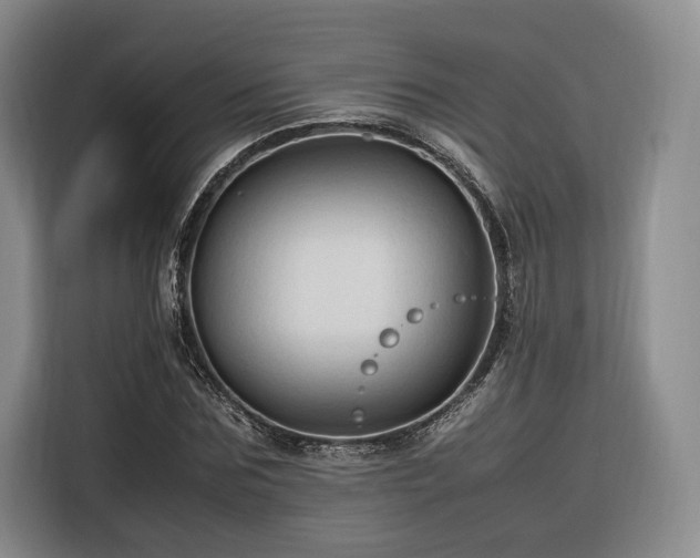 X0000116310875200912071306