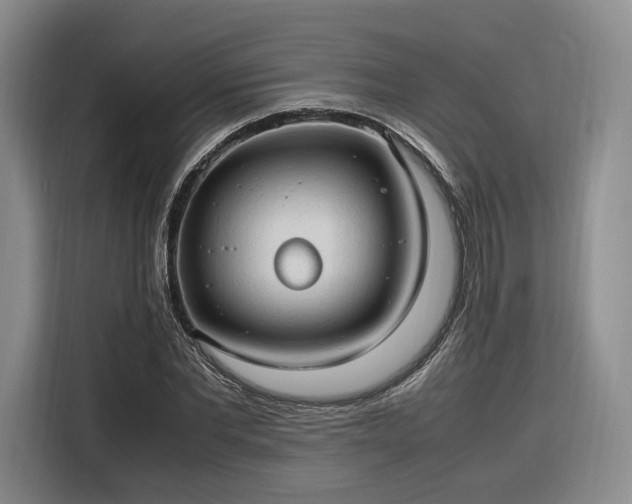 X0000116310877200912071306