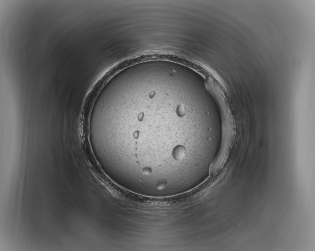 X0000116310878200912071306