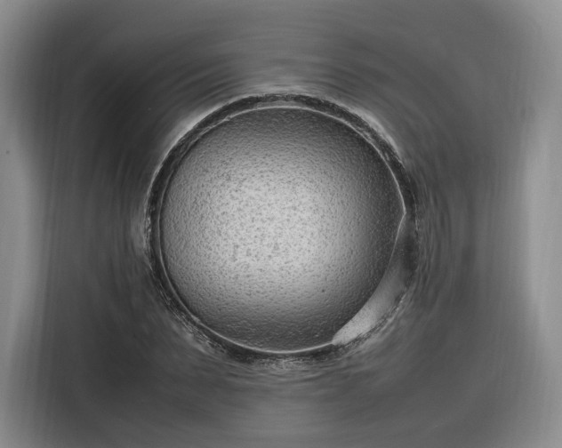 X0000116310879200912071306