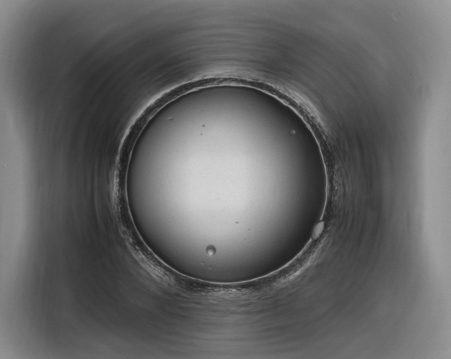 X0000116310880200912071306