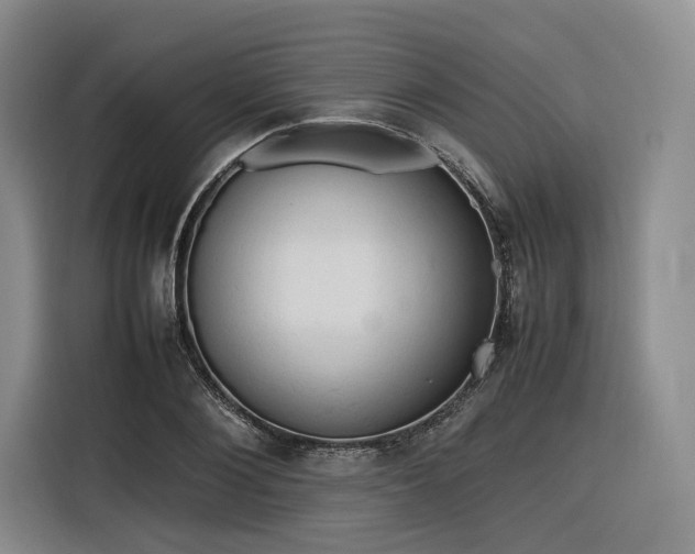 X0000116310884200912071306