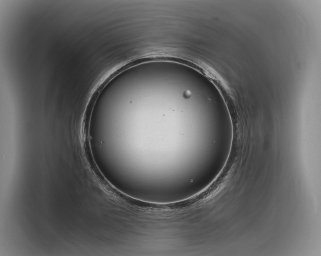 X0000116310885200912071306