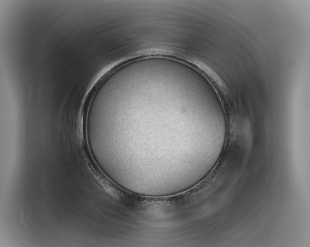 X0000116310886200912071306