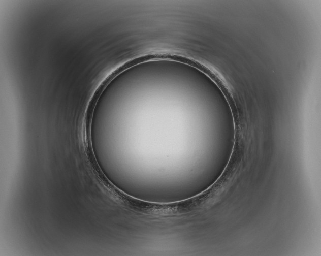 X0000116310887200912071306