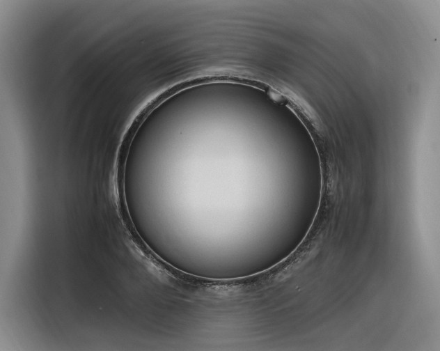 X0000116310888200912071306