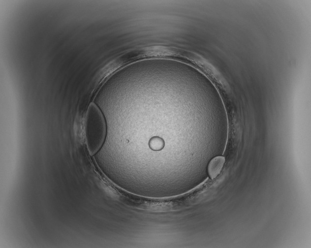 X0000116310889200912071306