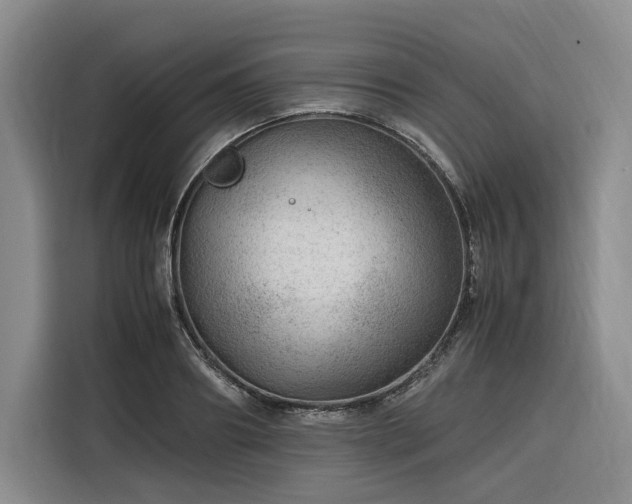 X0000116310890200912071306