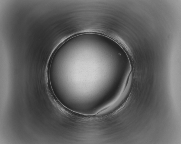 X0000116310892200912071306