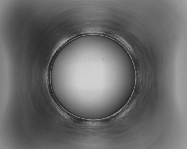 X0000116310893200912071306