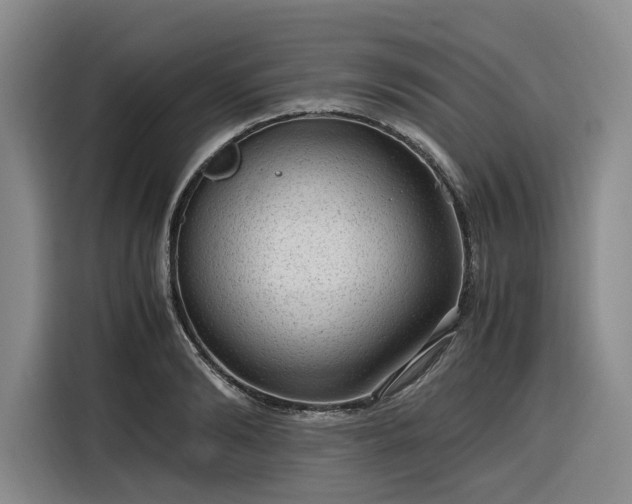 X0000116310894200912071306