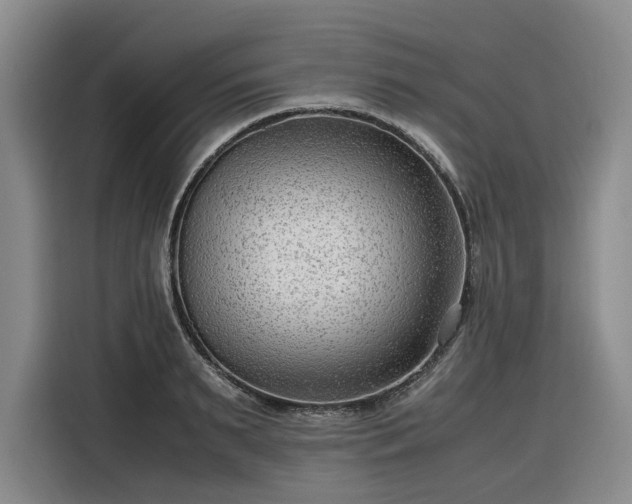 X0000116310895200912071306