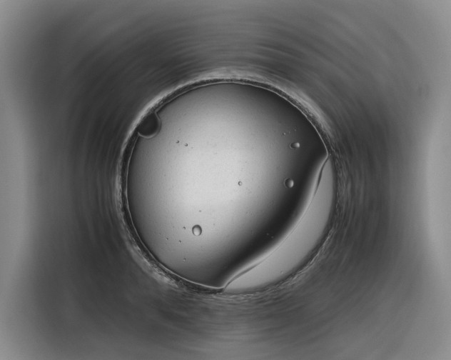 X0000116310896200912071306