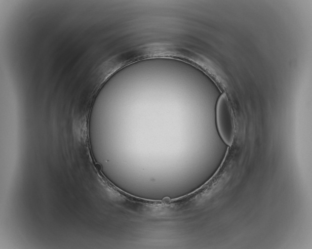 X0000116310897200912071306