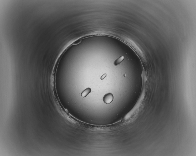 X0000116310900200912071306