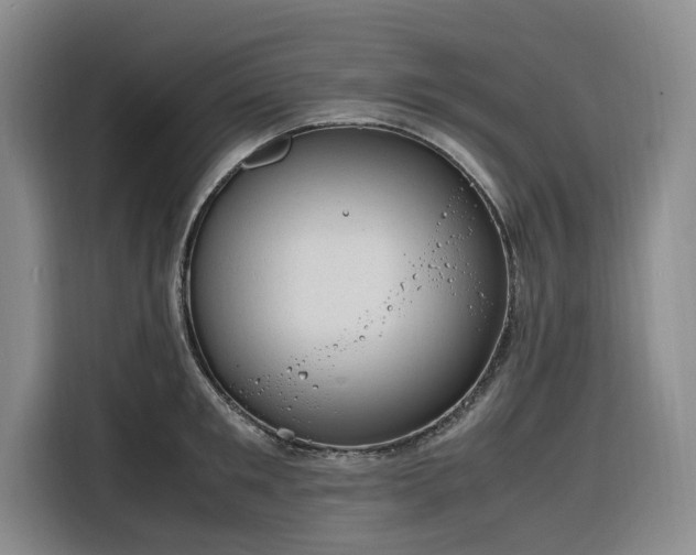 X0000116310901200912071306