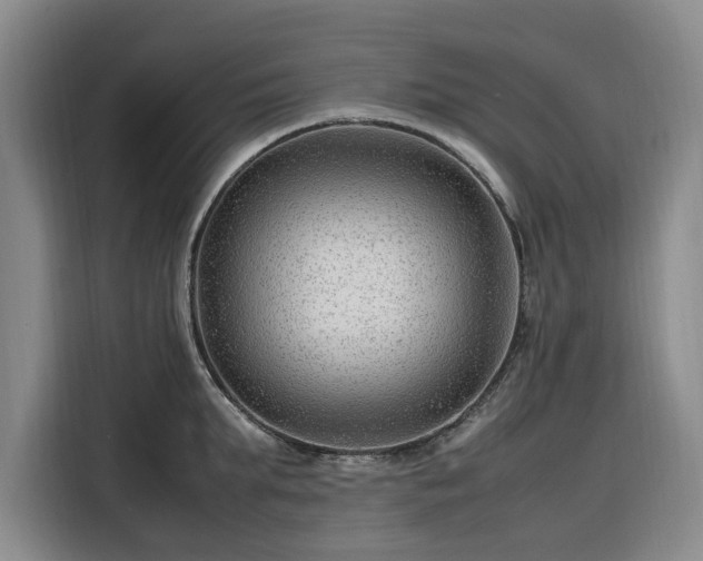 X0000116310903200912071306