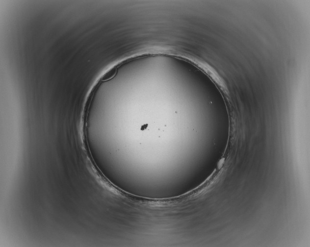 X0000116310904200912071306