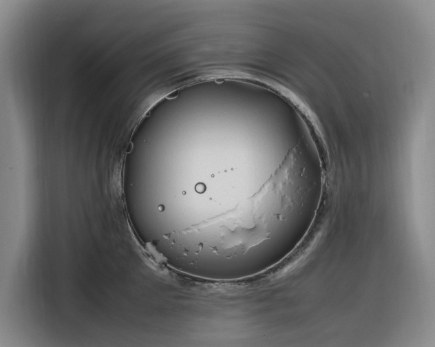 X0000116310905200912071306