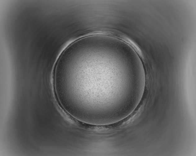 X0000116310907200912071306