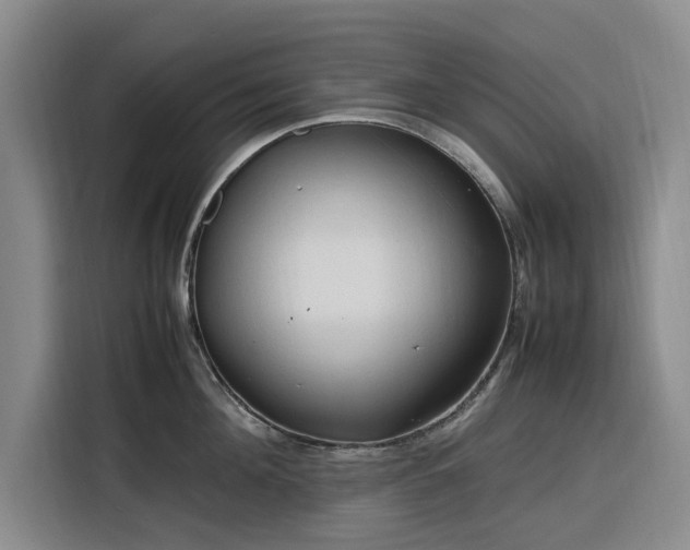 X0000116310908200912071306