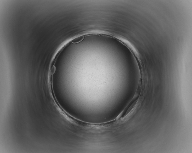 X0000116310910200912071306