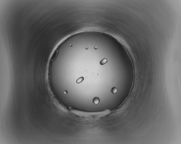 X0000116310912200912071306