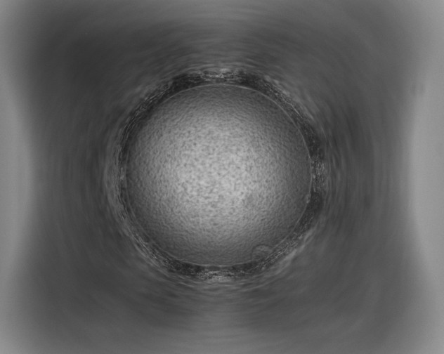 X0000116310913200912071305