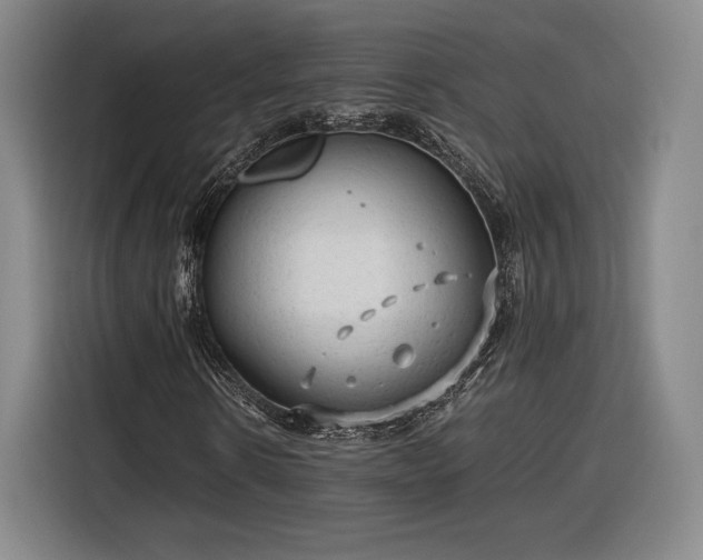 X0000116310914200912071305