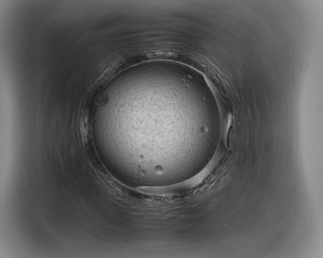 X0000116310915200912071305