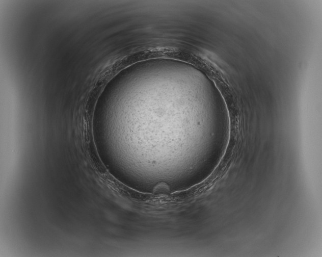 X0000116310917200912071305