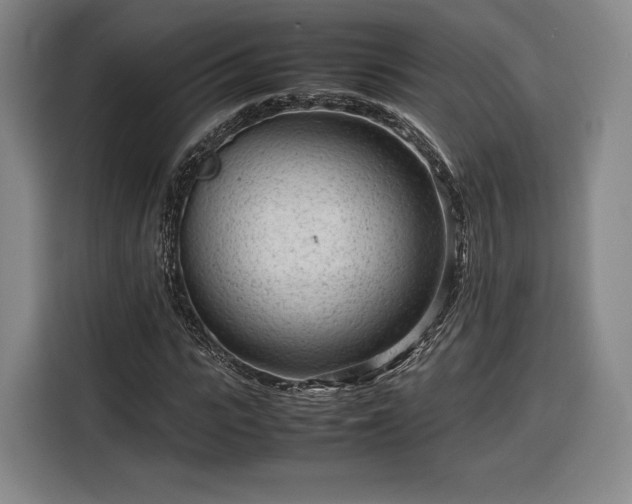 X0000116310919200912071305