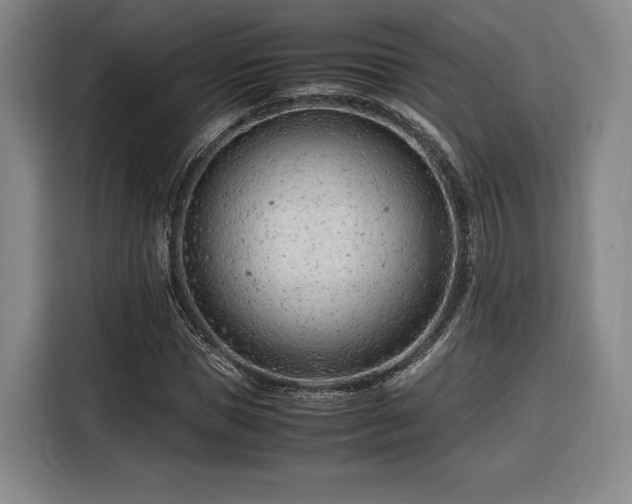 X0000116310921200912071305