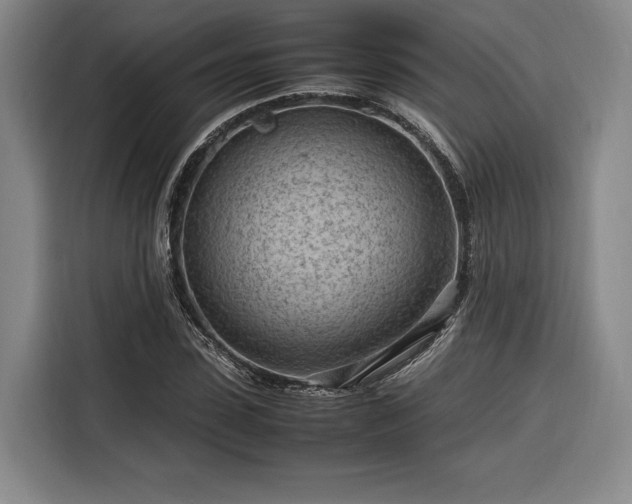 X0000116310923200912071305