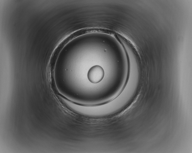 X0000116310925200912071305