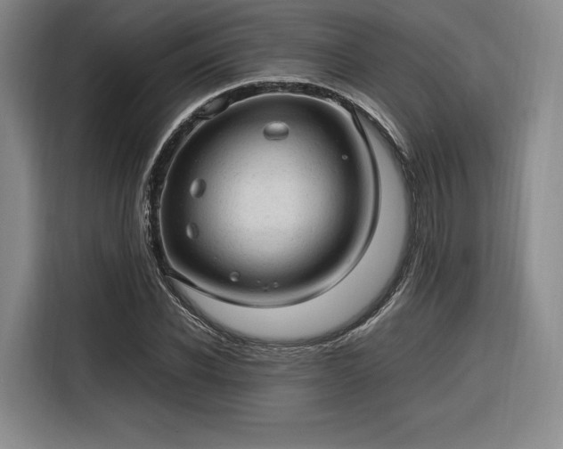 X0000116310926200912071305