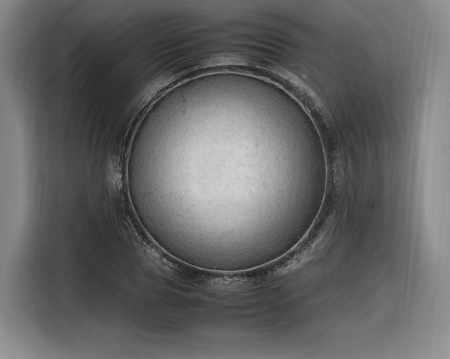 X0000116310929200912071305