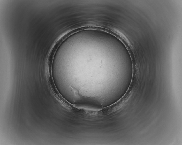 X0000116310931200912071305