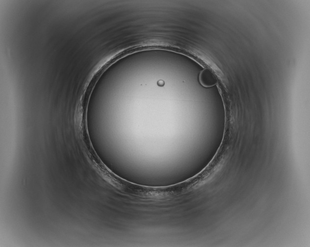 X0000116310933200912071305