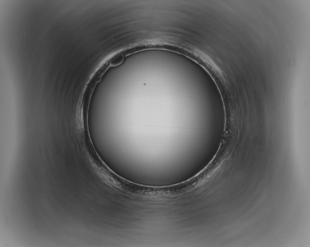 X0000116310934200912071305