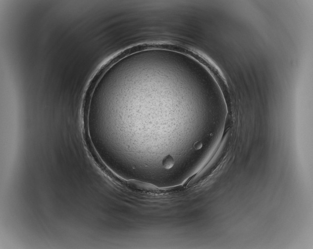 X0000116310935200912071305