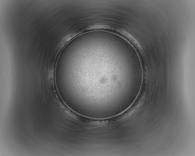 X0000116310937200912071305