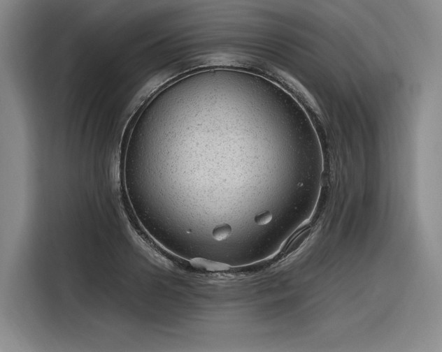 X0000116310938200912071305