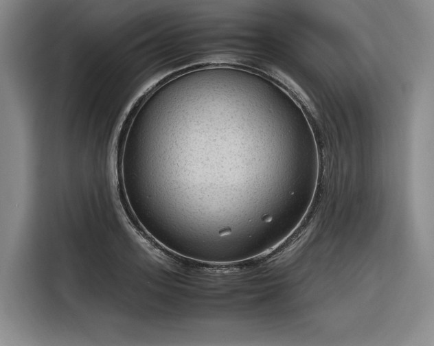 X0000116310939200912071306